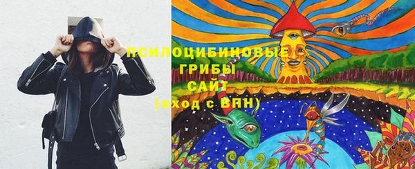 прущие крисы Мегион
