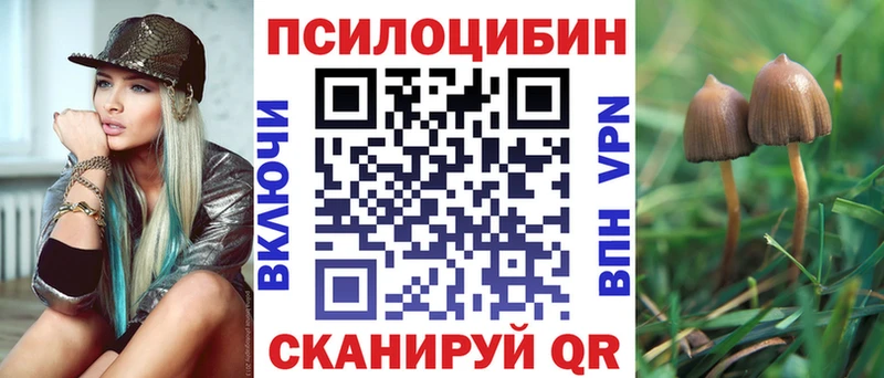 даркнет телеграм даркнет сайт Кириллов Галлюциногенные грибы MAGIC MUSHROOMS